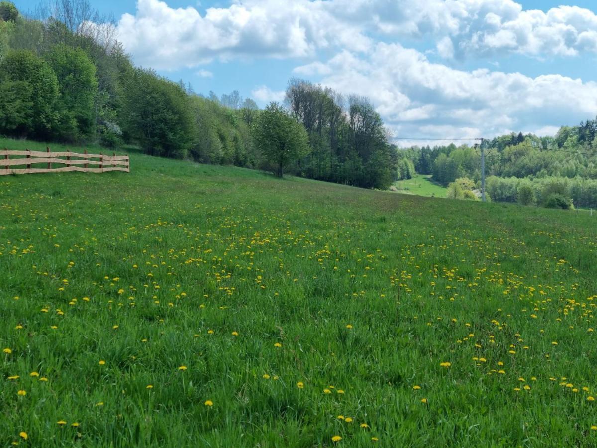 Okno Na Raj Domki Caloroczne Kudowa Zdroj Luaran gambar
